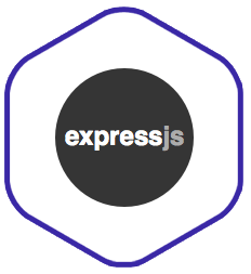 Using Express validator 🤔